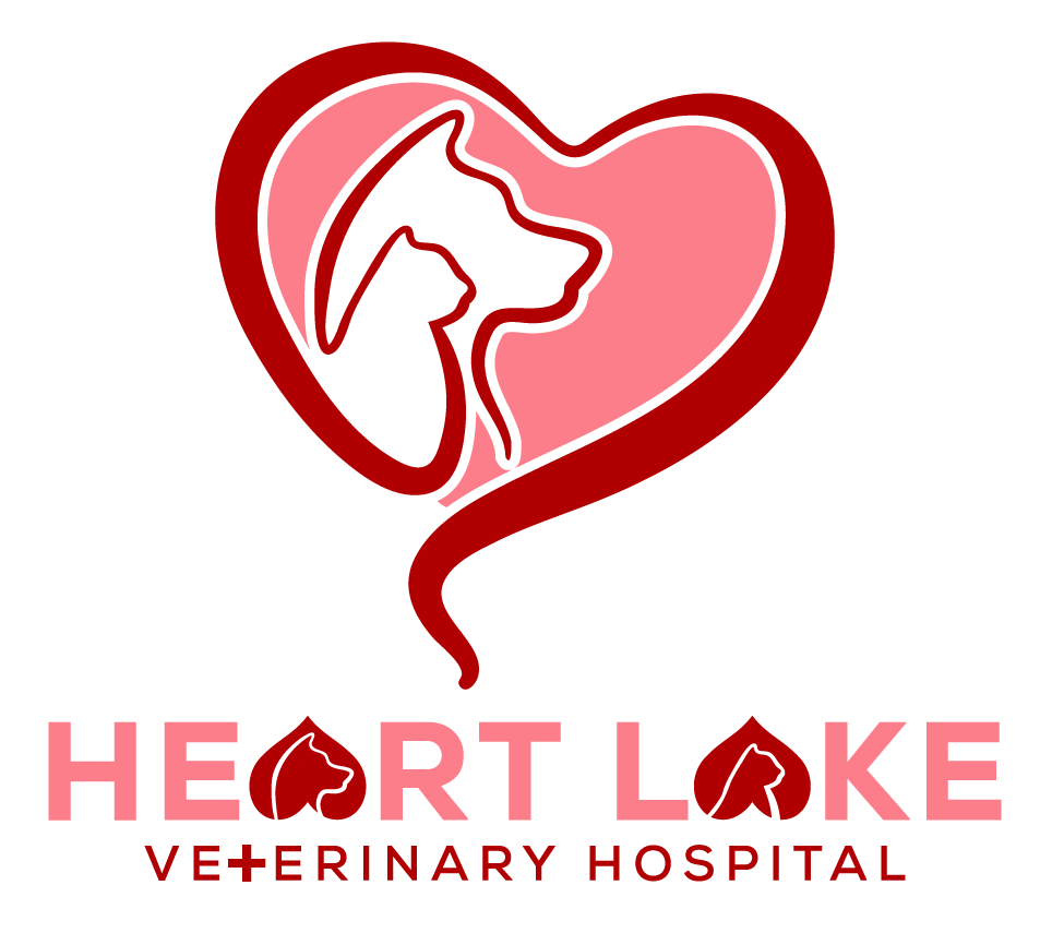 When To Seek Emergency Care For A Limping Pet Heart Lake Veterinary