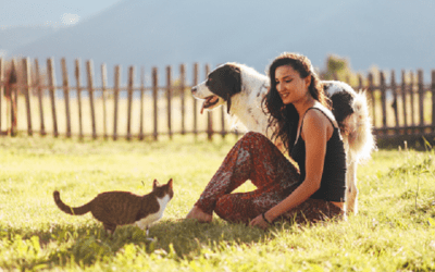 Immunization: At the Core of Your Pet’s Preventive Healthcare