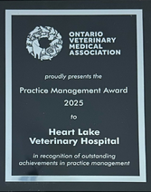 OVMA Award plaque